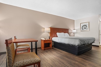 Standard Room, 1 King Bed, Non Smoking
