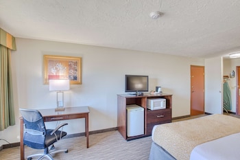 Suite, 1 King Bed, Non Smoking (with Sofabed)