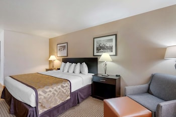 Standard Room, 1 Queen Bed, Non Smoking, Refrigerator & Microwave