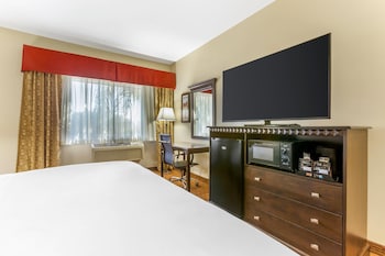 Standard Room, 1 King Bed, Accessible, Non Smoking (Roll-In Shower)
