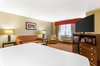 Standard Room, 1 King Bed, Non Smoking