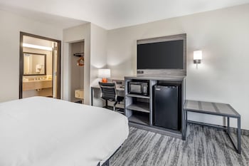 Room, 1 King Bed, Non Smoking, Jetted Tub