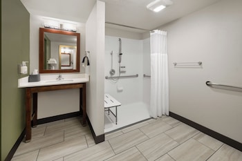 Suite, 1 King Bed, Roll-in Shower (Mobility Accessible)