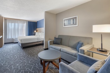 Suite, 1 King Bed, Non Smoking, Refrigerator (with Sofabed)