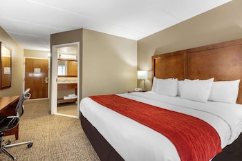 Room, 1 King Bed, Accessible, Non Smoking