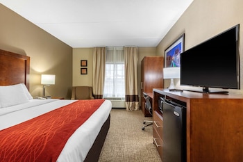 Room, 1 King Bed, Accessible, Non Smoking