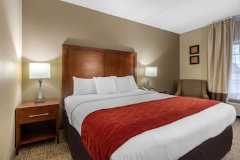 Room, 1 King Bed, Accessible, Non Smoking