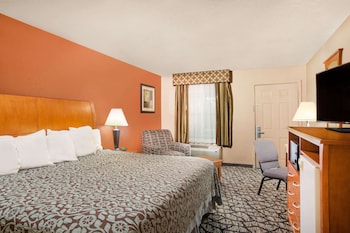 Room, 1 King Bed, Smoking