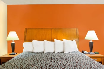 Room, 1 King Bed, Smoking