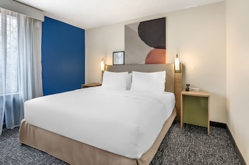 Room, 1 King Bed