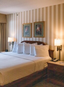 Suite- Bay View – 1 King