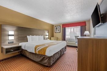 Standard Room, 1 King Bed, Non Smoking