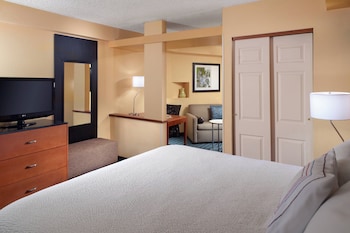 Executive Suite, 1 King Bed with Sofa bed