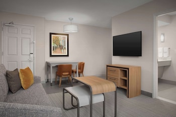 Suite, 1 King Bed, Accessible (Roll-in Shower)