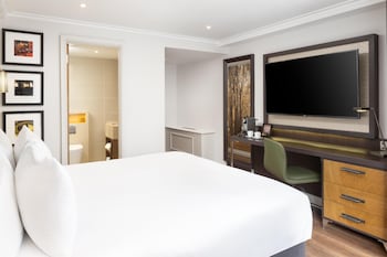 Room, 1 King Bed