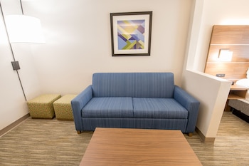 Suite, 1 King Bed with Sofa bed