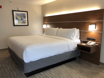 Suite, 1 King Bed with Sofa bed