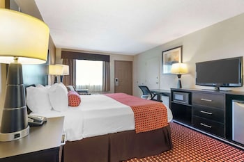 Standard Room, 1 King Bed, Accessible, Refrigerator & Microwave