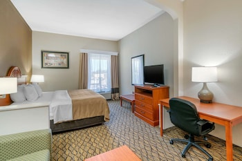 Suite, 1 King Bed with Sofa bed, Non Smoking