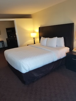 Suite, 1 King Bed with Sofa bed, Non Smoking (Interior Corridor)