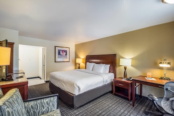 Room, 1 King Bed, Non Smoking
