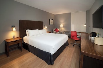 Traditional Room, 1 King Bed