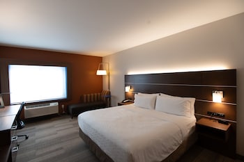 Standard Room, 1 King Bed, Mobility Accessible (Roll-In Shower)