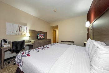 Superior Room, 1 King Bed, Accessible, Non Smoking (Roll-In Shower)