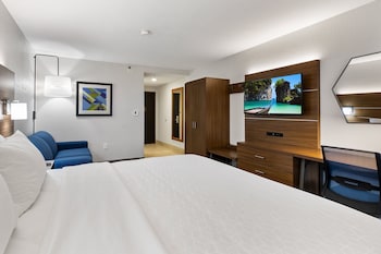 Standard Room, 1 King Bed with Sofa bed
