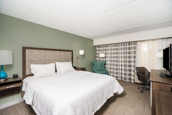 Room, 1 King Bed, Accessible, Non Smoking (Mobility & Hearing, Roll-in Shower)