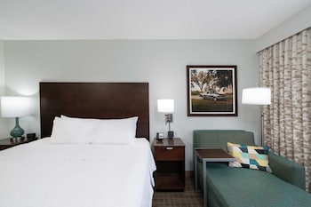 Room, 1 King Bed with Sofa bed (Shower Only)