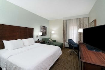 Room, 1 King Bed with Sofa bed, Non Smoking (Large)
