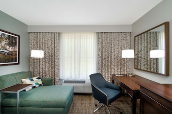 Room, 1 King Bed, Accessible, Bathtub