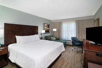 Room, 1 King Bed, Accessible, Bathtub