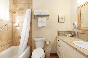 Dolphin Suite
