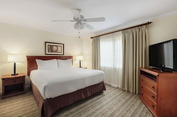 Dolphin Suite