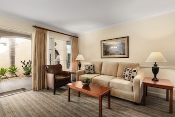 Standard Suite, 1 King Bed with Sofa bed
