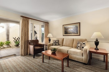 Dolphin Suite