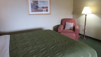 Standard Room, 1 King Bed, Accessible