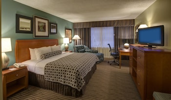 Suite, 1 Bedroom, Non Smoking