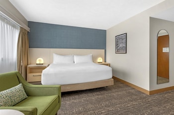 Room, 1 King Bed, Accessible, Corner (Roll-in Shower)