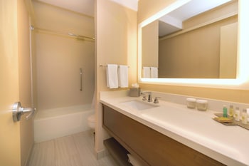 Room, Accessible, Bathtub