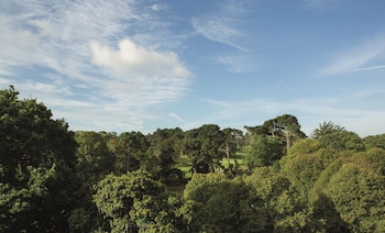 Classic Garden View Room