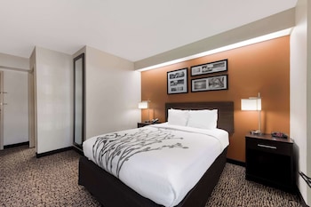 Room, 1 Queen Bed, Accessible