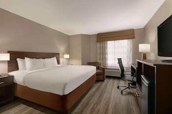 Room, 1 King Bed, Non Smoking