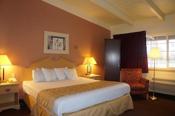 Room, 1 King Bed, Accessible, Non Smoking