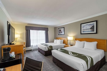 Traditional Room, 2 Queen Beds