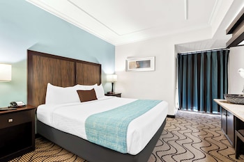 Suite, 1 King Bed, Non Smoking, Refrigerator & Microwave (with Sofabed)