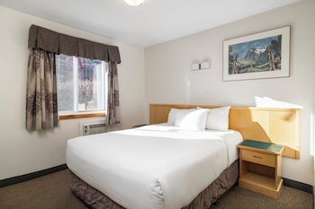 One Bedroom Apartment