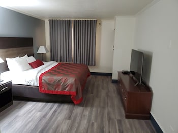 Room, 1 King Bed, Accessible, Non Smoking